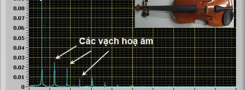 Sóng âm và những kiến thức cơ bản