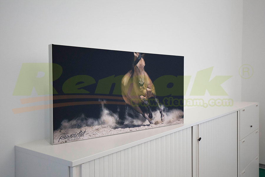 Tấm tiêu âm tranh tường nghệ thuật Remak® Acoustic Wallart 1