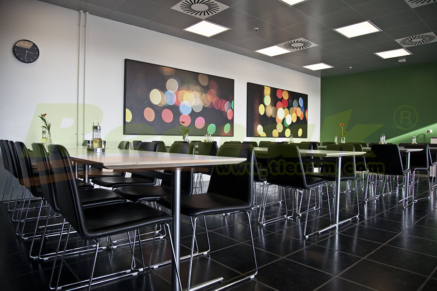 Tấm tiêu âm tranh tường nghệ thuật Remak® Acoustic Wallart 7